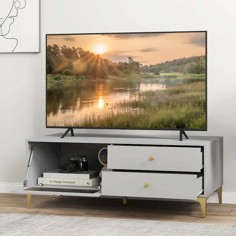Meuble TV moderne pour téléviseurs 55 pouces avec porte abattante 2